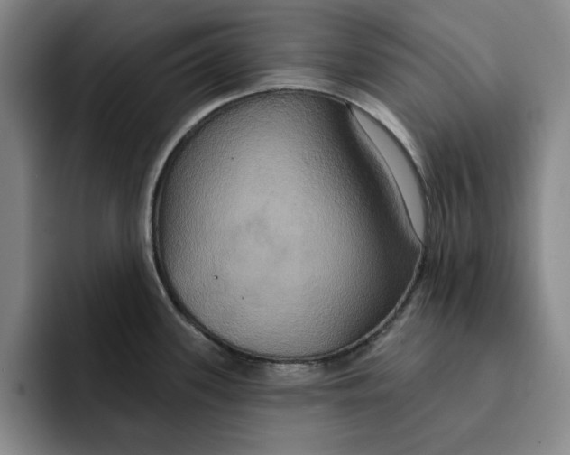 X0000091641339200709201101