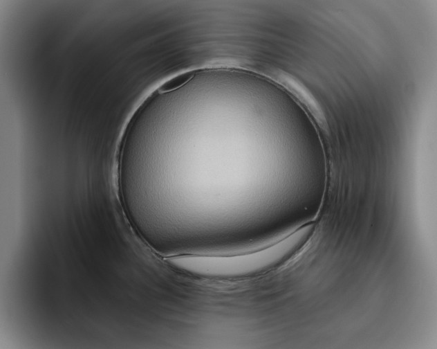 X0000091641340200709201101