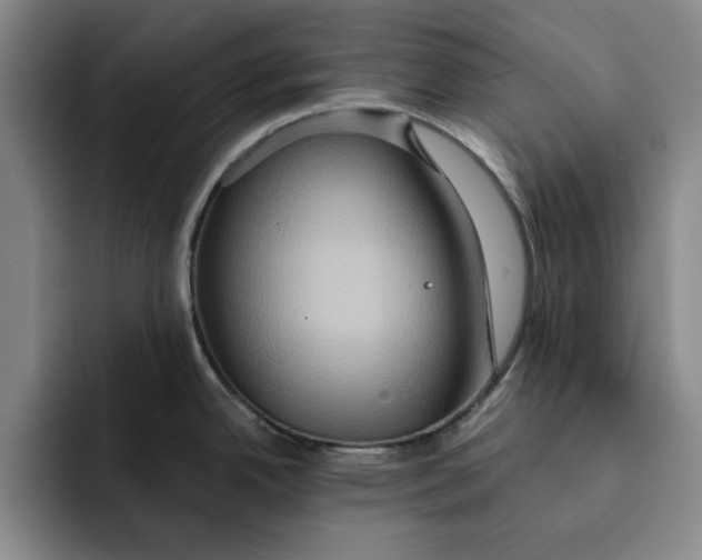 X0000091641342200709201101