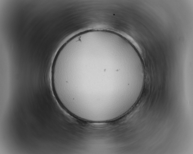 X0000091641343200709201101
