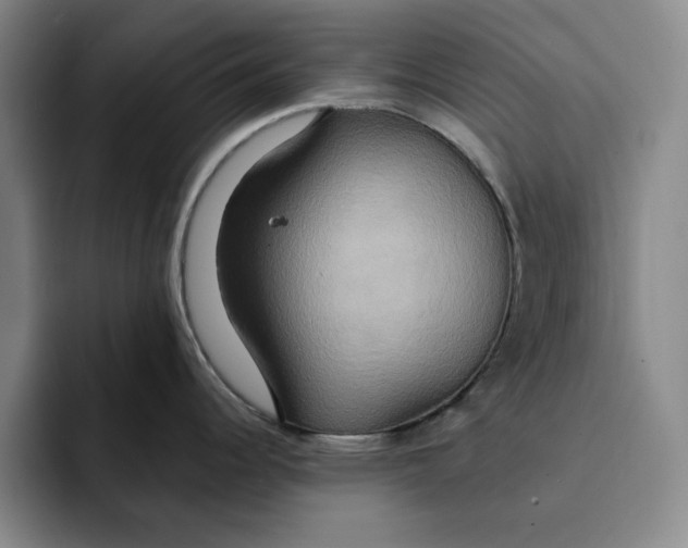 X0000091641344200709201101