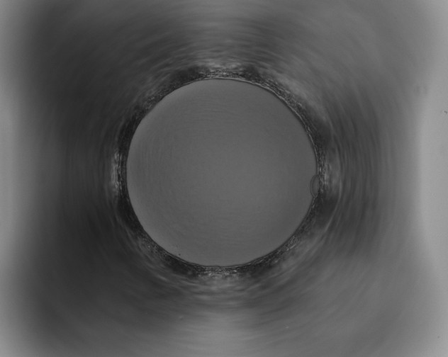 X0000091641346200709201101
