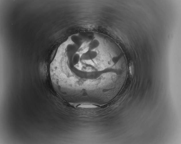 X0000091641347200709201101