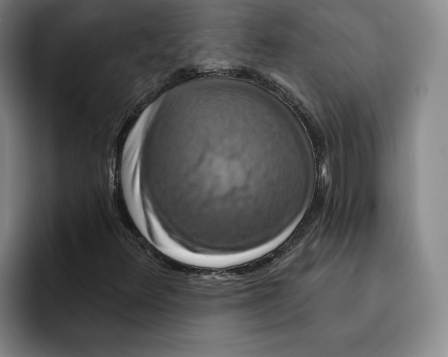 X0000091641348200709201101