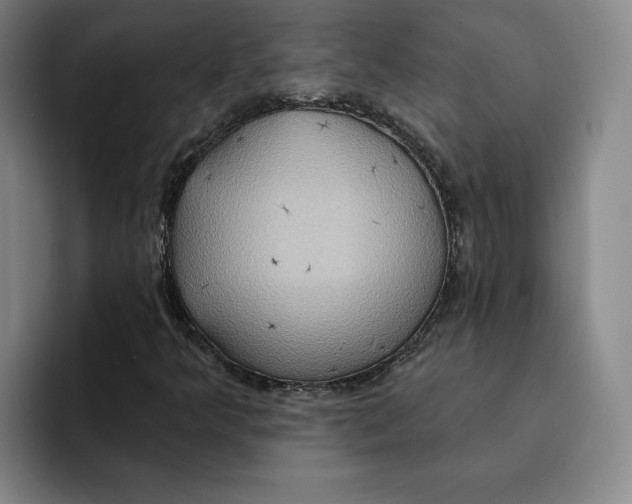 X0000091641349200709201101
