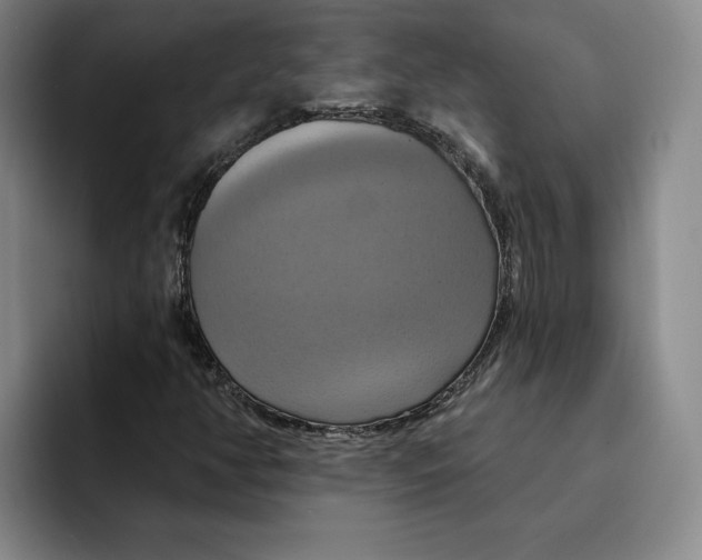 X0000091641350200709201101