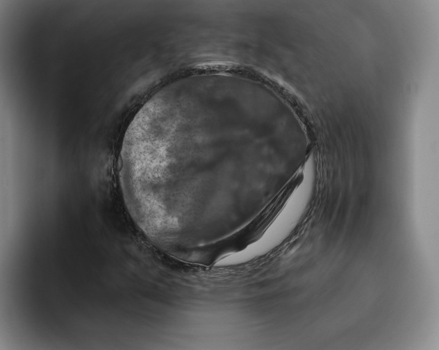 X0000091641351200709201100