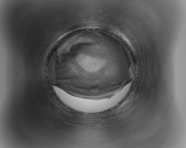 X0000091641352200709201100
