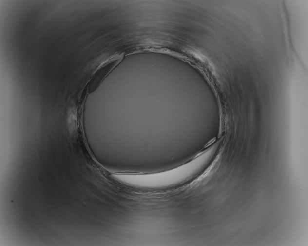 X0000091641353200709201100