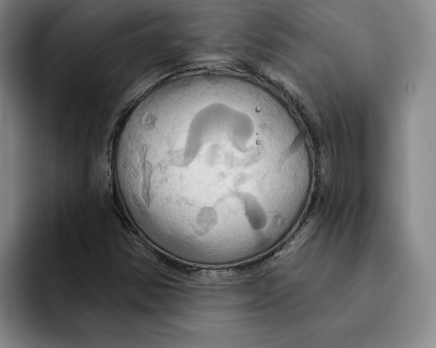 X0000091641354200709201100