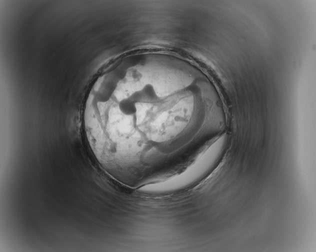 X0000091641355200709201100