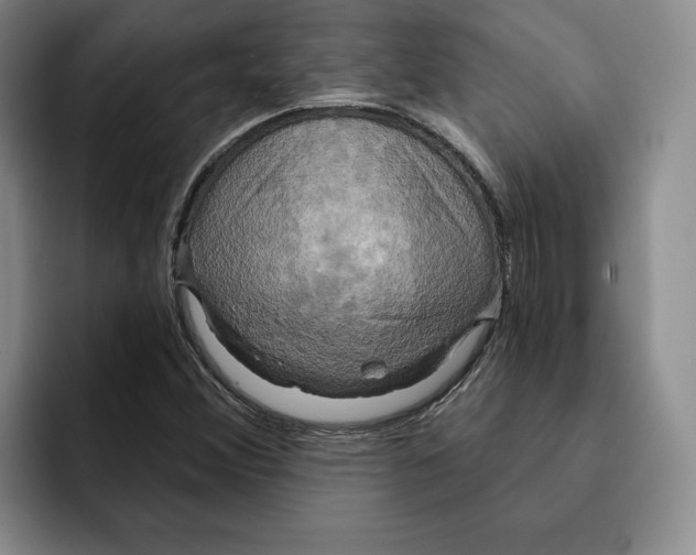 X0000091641356200709201100