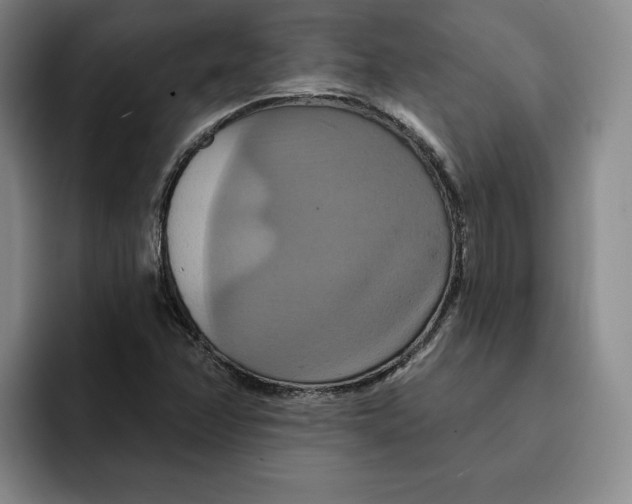 X0000091641358200709201100