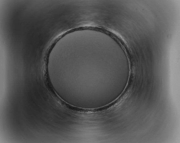 X0000091641359200709201100