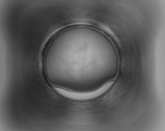 X0000091641360200709201100