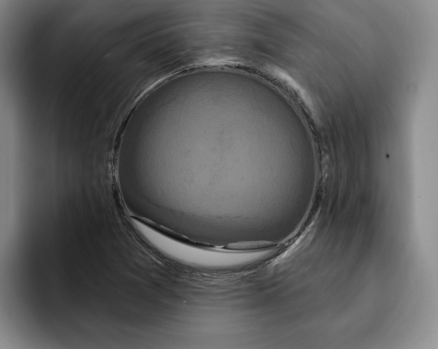 X0000091641361200709201100
