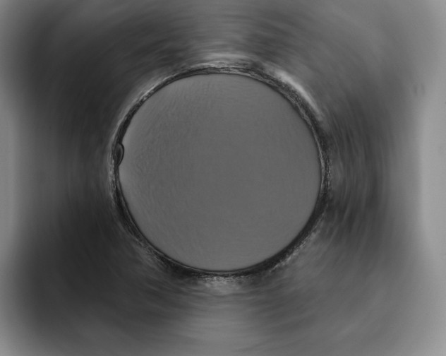 X0000091641362200709201100