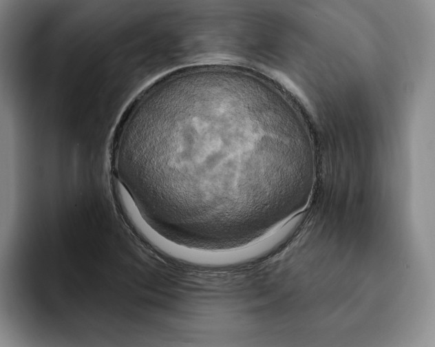 X0000091641364200709201100