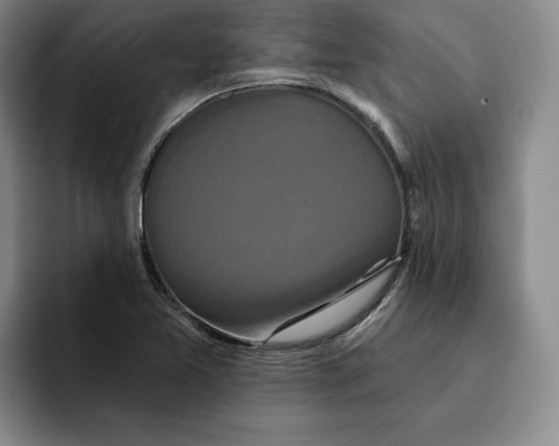 X0000091641365200709201100