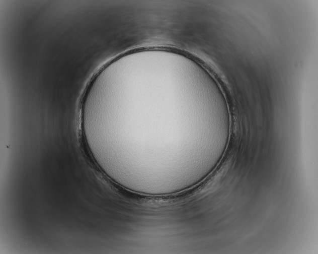 X0000091641366200709201100