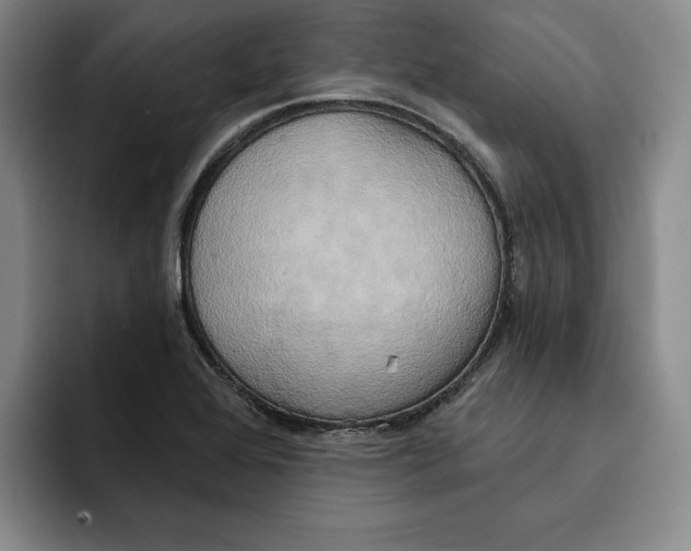 X0000091641368200709201100