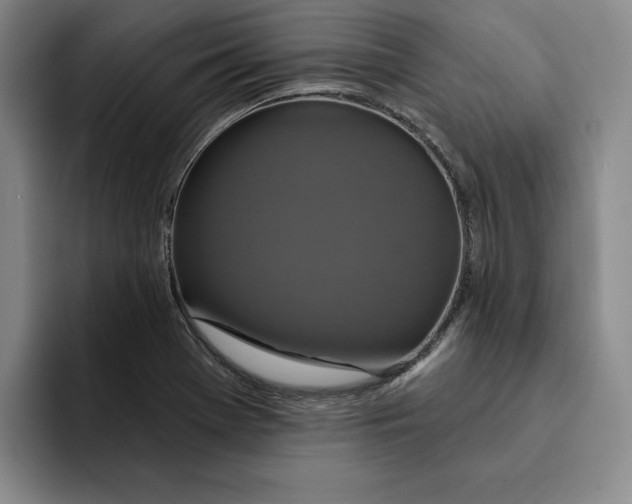 X0000091641369200709201100