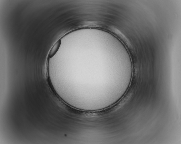 X0000091641370200709201100