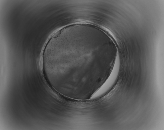 X0000091641371200709201100