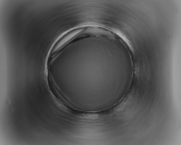 X0000091641372200709201100