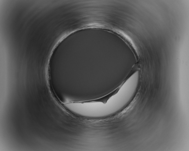 X0000091641373200709201100