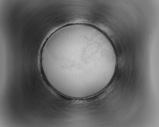 X0000091641374200709201100