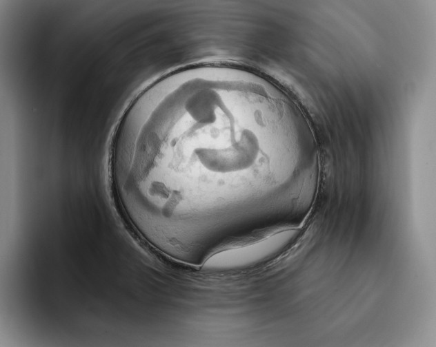 X0000091641375200709201100