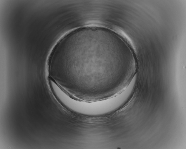 X0000091641376200709201100