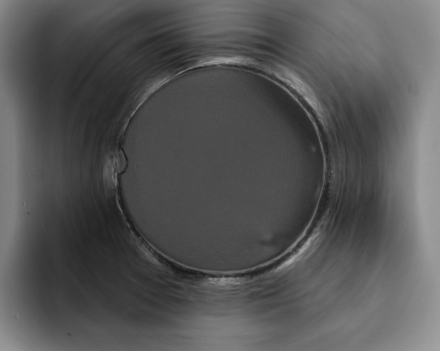 X0000091641377200709201100
