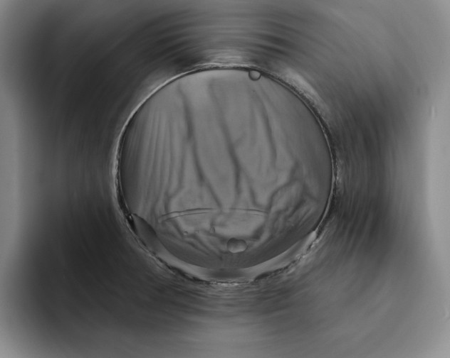 X0000091641378200709201100