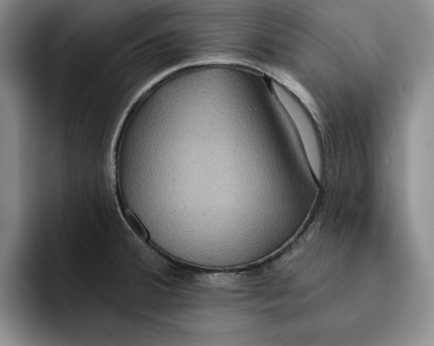 X0000091641380200709201100