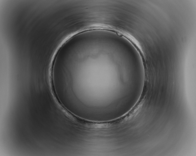 X0000091641381200709201100
