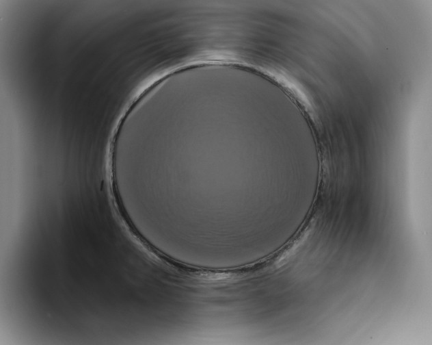 X0000091641382200709201100