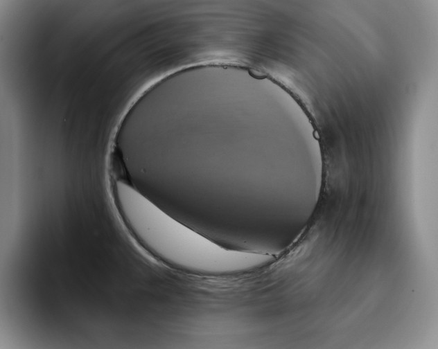 X0000091641383200709201100