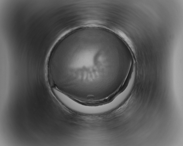 X0000091641384200709201100