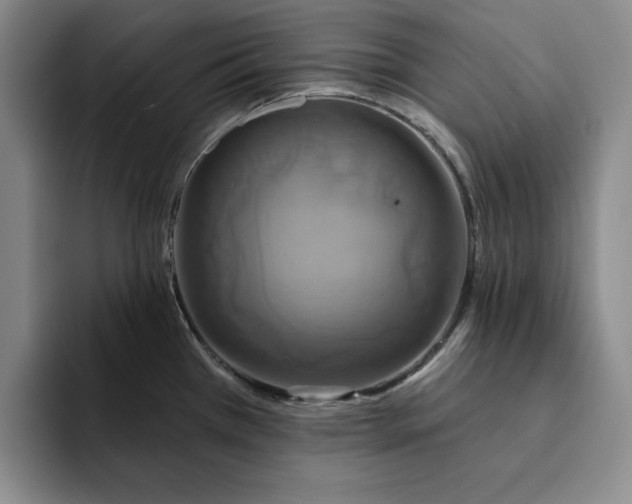 X0000091641385200709201100