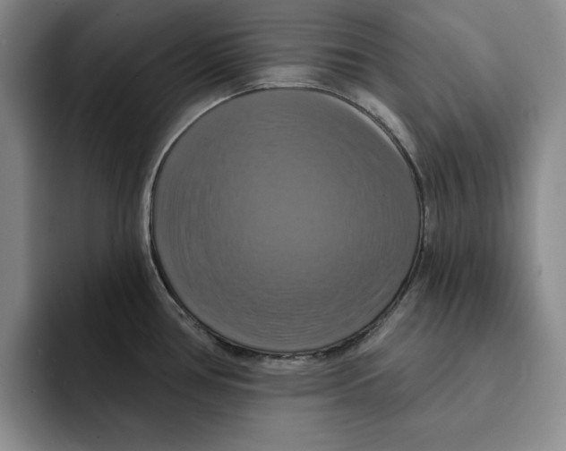 X0000091641386200709201100