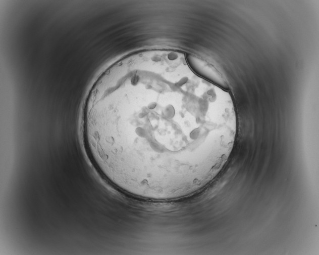 X0000091641387200709201100