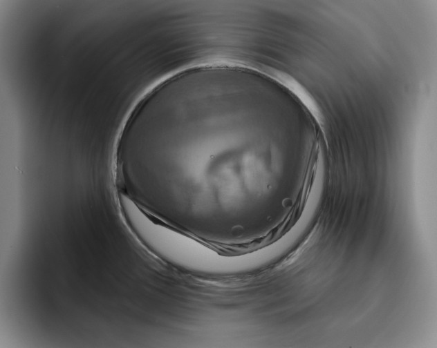 X0000091641388200709201100