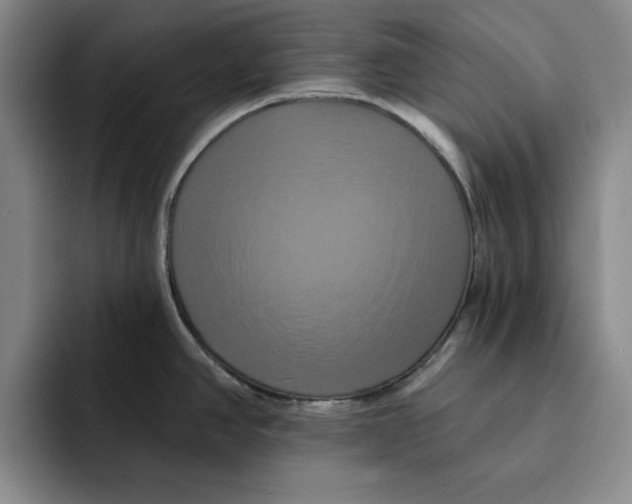 X0000091641390200709201100