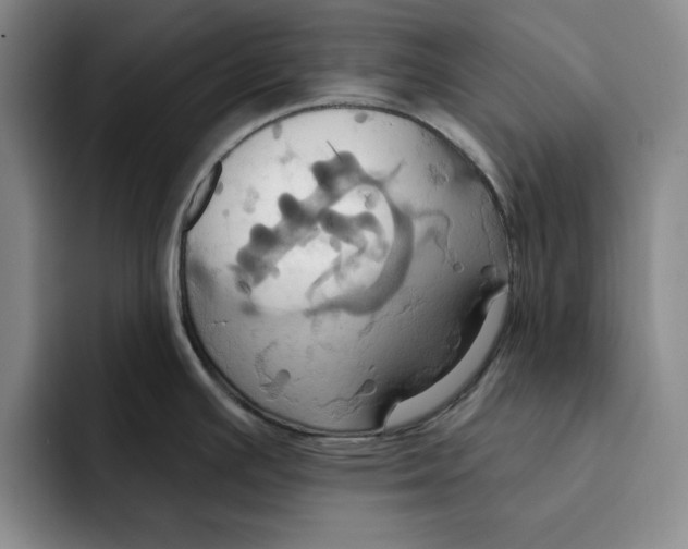 X0000091641391200709201100