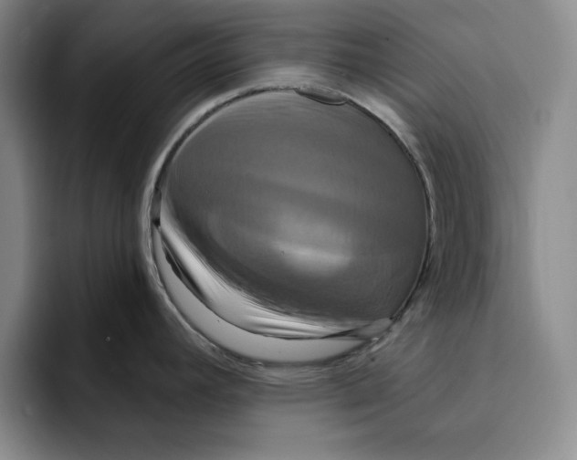 X0000091641392200709201100