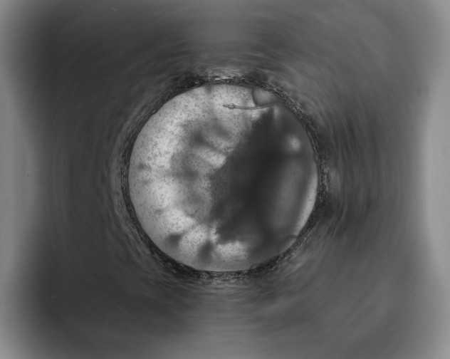 X0000091641393200709201059
