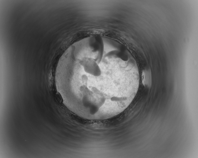 X0000091641395200709201059