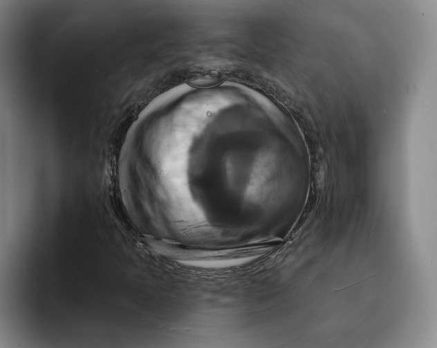 X0000091641397200709201100